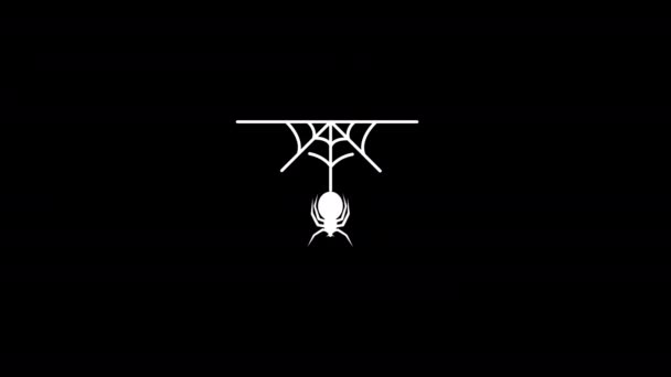 Spider Spider Web Hanging Motion Graphics Video Transparent Background Alpha — Stock Video