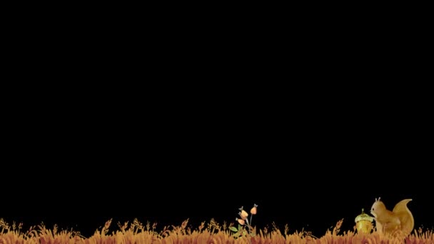 Осенний Красочный Фон Благодарения Белкой Травой Листья Альфа Каналом Прозрачный — стоковое видео