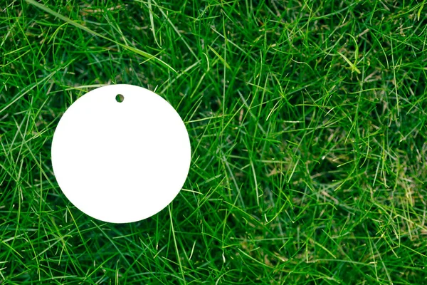 Kreatywny układ ramy kompozycji trawnika zielona trawa z jedną białą tekturą okrągłe pojedyncze tagi płaskie układanie i kopiowanie miejsca na logo — Zdjęcie stockowe