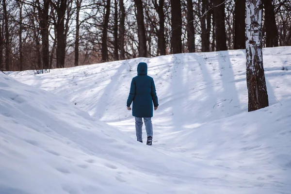 Winterlandschaft. Junge kaukasische Frau in warmer Kleidung spaziert auf schneebedeckter Straße im Wald zwischen hohen Bäumen, Rückansicht — Stockfoto