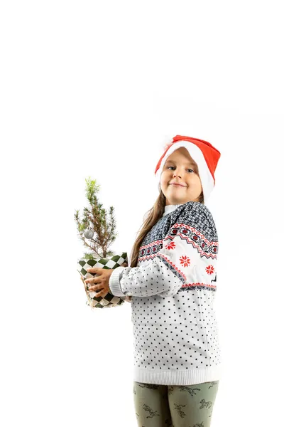 Fille caucasienne de six ans en pull de Noël blanc avec rennes et chapeau du Père Noël tenant petit arbre de Noël en pot, isolé sur fond blanc — Photo