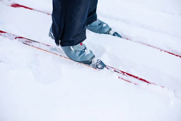 Nahaufnahme von Skiern und Skihängen. Mann fährt bei klarem Sonnenschein auf Winterschnee Ski — Stockfoto