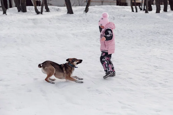 Enfant et chien sur route enneigée. Petite fille joue avec le chien dans la forêt après de fortes chutes de neige, promenade d'hiver — Photo