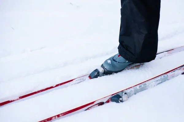 Människan åker skidor. Närbild av benen i grå pjäxor på skidor, man rider i snö på klar solig dag, sidovy — Stockfoto