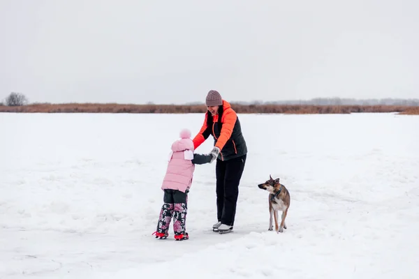 Сім'я на прогулянці взимку. Молода жінка вчить маленьку дівчинку кататися на замерзлому озері в морозний зимовий день, великий собака грає поруч — стокове фото