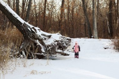 Çocuk ormanda yürüyor. Küçük kız, yoğun kar fırtınası ve kış manzarasından sonra yola düşen büyük bir ağacın yanında karla kaplı yolda duruyor.