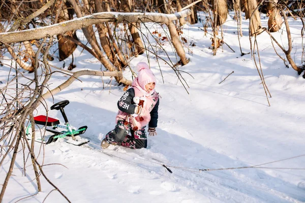 La petite fille joue dans la forêt enneigée. Enfant en hiver vêtements chauds est tombé des enfants traîneau dans la neige — Photo