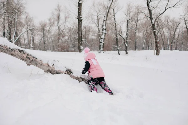 Distant photo of female Russian kid climbing tree log with efforts wearing pink winter clothes in forest. Astonishing background full of white color and snow — стокове фото