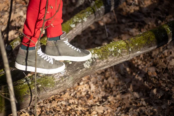 Close-up of woman legs slowly crossing pit by walking on log alone in forest far away from city closer to nature with leaves in background. Hiking, active lifestyle — Foto Stock