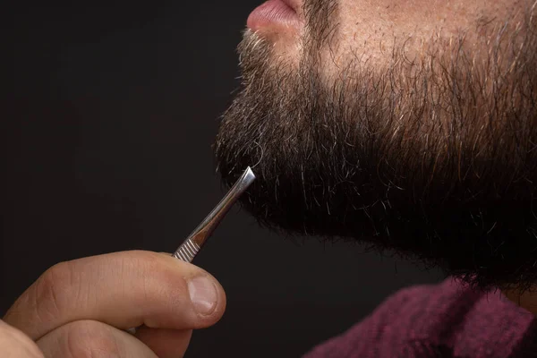 Close-up of bearded man pulling gray hair out of graying beard with tweezers. Concept of skin, hair care and anti-aging — Foto de Stock