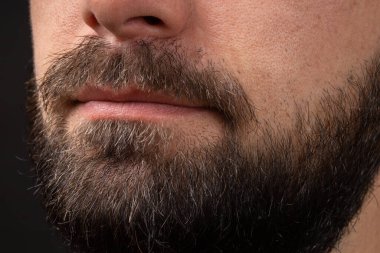 Neat beard. Close-up of bearded young man. Close up on handsome hipster male beard. Stylish well-groomed beard. Closeup bearded men