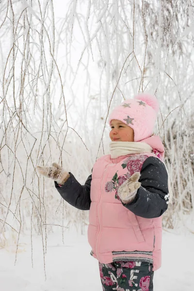 Välmående kvinna unge med röda kinder tittar på trädgrenar och fånga snö bär varma vinterkläder med snöiga träd i bakgrunden. Vintervandring i skog — Stockfoto