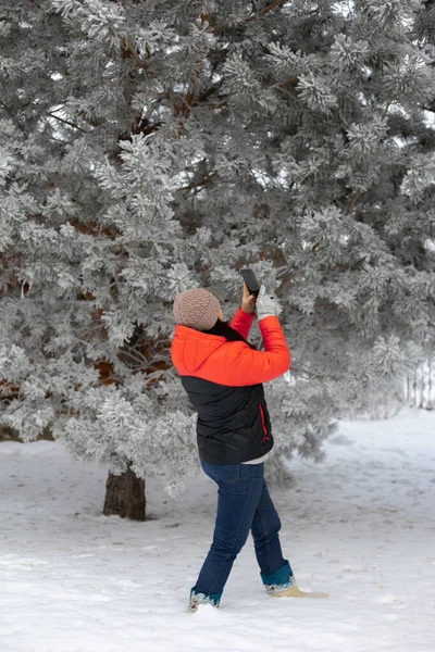 Vit medelålders kvinna gör foto av gran träd med telefon stående på marken täckt med snö med träd i bakgrunden. Ha kul utomhus på vintern — Stockfoto