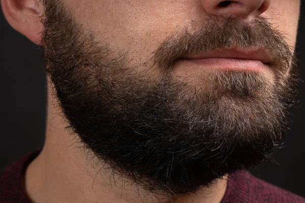 Handsome bearded man close up. Closeup of bearded mans. Male with mustache growing. Perfect beard. Close-up of young bearded man. Close up of handsome beard hipster elegant male Stockbild
