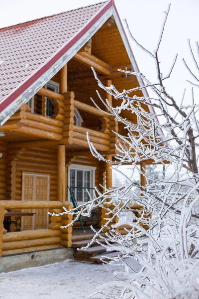 Árbol congelado de tamaño medio cubierto de nieve en primer plano y bonita casa de campo de madera con techo de azulejos rojos en el fondo. Descansando en el campo lejos de la vida de la gran ciudad. Más cerca de la naturaleza — Foto de Stock