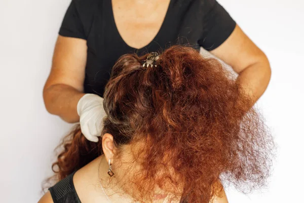 Persona femenina con guantes de látex en las manos teñido de pelo de mujer en color rojo oscuro sobre fondo blanco. Colorante para el cabello en casa. Deshacerse del pelo gris. Anti-edad —  Fotos de Stock