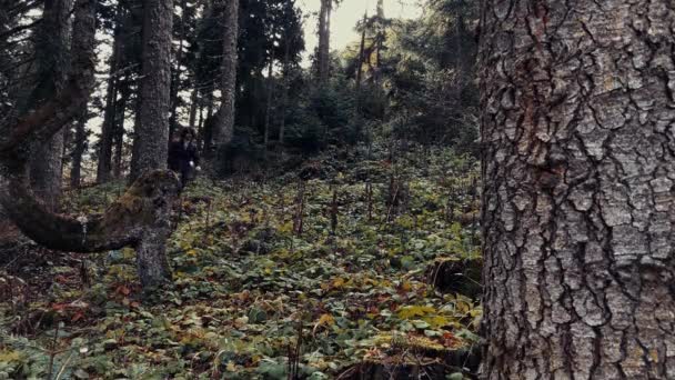 Молодой Человек Гуляет Лесу Подростковые Разведчики Лесу Похода Мужчина Топором — стоковое видео