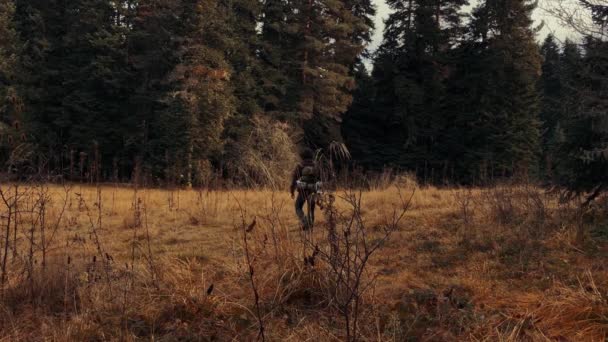 Joven Vagando Solo Por Bosque Joven Campamento Reconocimiento Masculino Bosque — Vídeo de stock