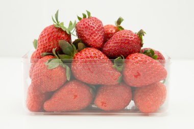 çilek bir açık şeffaf plastik alıcısına satılır, beyaz zemin üzerine izole etmeye hazır