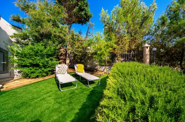 Evin arka bahçesinde iki güneşli, yaz güneşli bir günde yeşil çimenler.