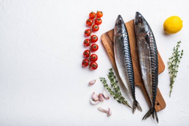 Beyaz desenli arka plan içerikli uskumru, kopyalama alanı olan üst görünüm.