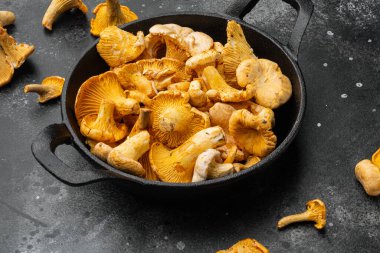 Cantharellus cibarius, chanterelle mantar seti, dökme demir tavada, siyah taş masa arka planında