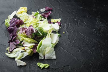 Ispanaklı taze yeşil salata, romaine ve marul seti, siyah taş zemin üzerinde, metin için fotokopi alanı