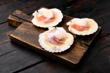 Deniz tarağı. Donmuş et istiridye kabukları seti, eski koyu ahşap masa zemininde, metin için kopyalama alanı ile