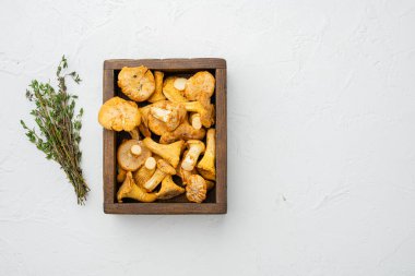 Çiğ yabani chanterelles mantarları seti, ahşap kutu kabın içinde, beyaz taş masa zemininde, üst görünüm düz, metin alanı için kopyalama alanı ile