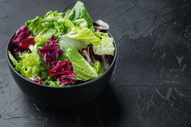 Farklı marul salatalarının taze yaprakları, metin için kopyalama alanı ile siyah arkaplan üzerinde