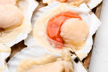 Deniz kabukluları sarımsak ve baharatla kabuklu deniz tarakları, beyaz taş masa zemininde, üst görünüm düz