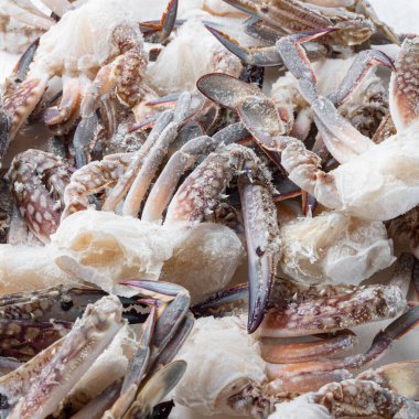 Donmuş çiğ mavi yüzen yengeç seti, beyaz arkaplanda.