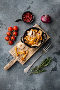 Yaban mantarları Boletus edulis ve kap boletus bir kavanoz seti içinde, gri arka planda, üst manzara düz yatıyordu