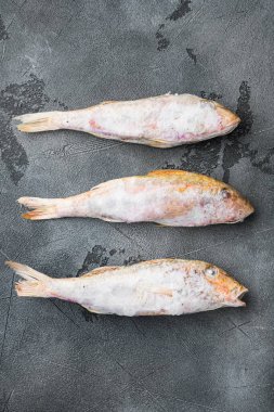 Frozen mullet or sultanka fish set, on gray stone table background, top view flat lay