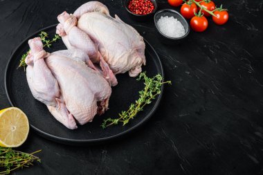 Organic whole fresh poussins with herbs spices, on black background with copy space for text