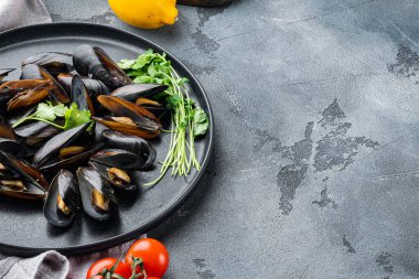 Boiled Mussels with parsley and spices and bread set, on plate, on gray background , with copyspace  and space for text