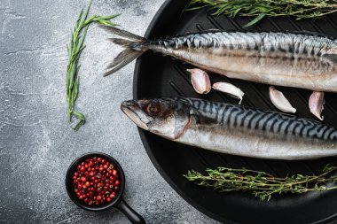 Raw scomber fish with ingredients on grey background, flat lay.