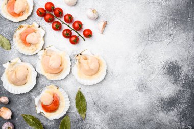 Seafood organic scallops set, on gray stone table background, top view flat lay, with copy space for text