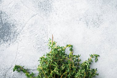 Kekik yeşili taze demet, gri arkaplan, metin için kopya alanı ile üst görünüm