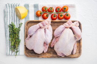 Taze çiğ tavuk leşi. Otlar ve malzemelerle birlikte. Beyaz arka planda.