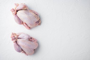 Beyaz arka planda, tam pişmemiş taze tavuk, metin için fotokopi alanı ile üst görünüm