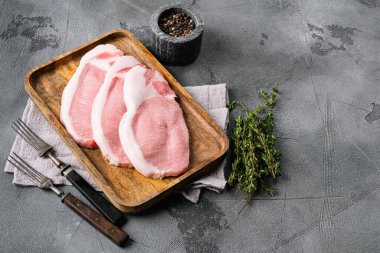 Taze çiğ et seti, gri taş masa zemininde, metin için kopyalama alanı var.