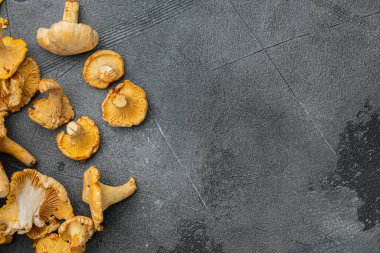 Cantharellus cibarius, chanterelle mantarları seti, gri taş masa arkaplanı, üst görünüm düz, metin alanı için kopyalama alanı