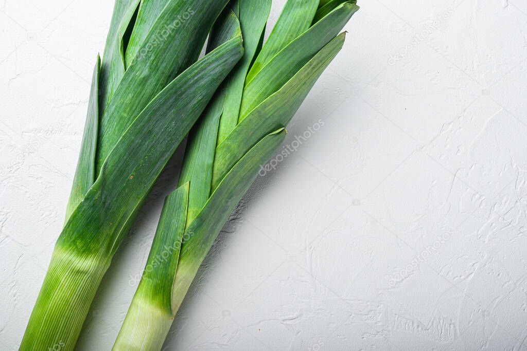 Organic Leek onion Stalks on white background, top view with space for text