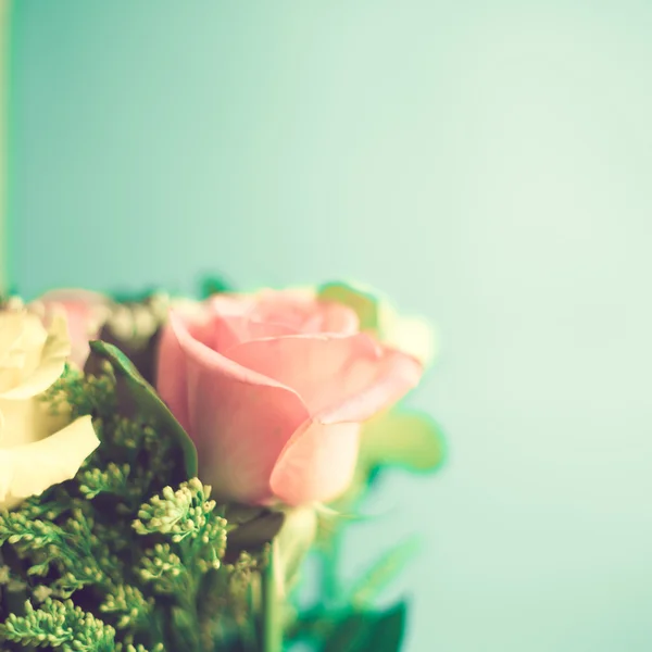 Pink and white roses — Stock Photo, Image