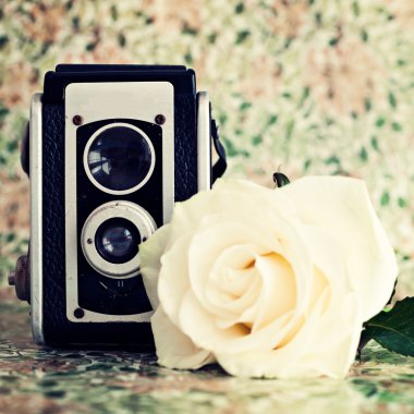Vintage fotoğraf makinesi ve gül