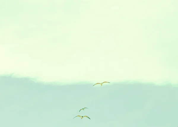 Retro gökyüzündeki kuşlar — Stok fotoğraf