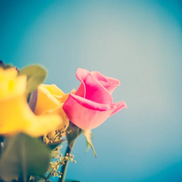 Rosas amarillas y rosas —  Fotos de Stock