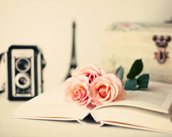 Rosas Vintage en libro — Foto de Stock