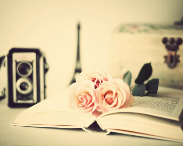 Rosas vintage no livro — Fotografia de Stock